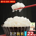 【ふるさと納税】令和2年産新米 森のくまさん22kg 熊本県