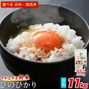 【ふるさと納税】令和2年産新米 ひのひかり11kg 熊本県産