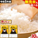 【ふるさと納税】 令和5年産 無洗米 も 選べる 森のくまさん 5kg × 2袋 10kg 白米 熊本県産 単一原料米 森くま《7-14営業日以内に出荷予定(土日祝除く)》《精米方法をお選びください》定期便アリ 送料無料