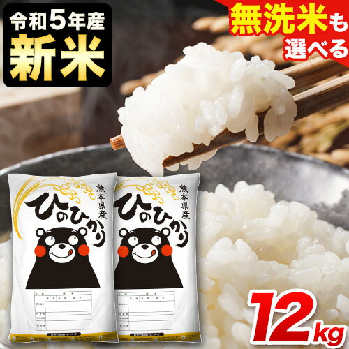 【ふるさと納税】令和3年産 ひのひかり 13kg 6.5kg×2袋 熊本県産 白米 精米 ひの《3-7営業日以内に順次出荷(土日祝除く)》