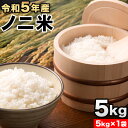 令和5年産 ひのひかり(ノニ米) 約5kg(5kg×1袋) コノCAFE《30日以内に出荷予定(土日祝除く)》