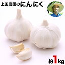 【ふるさと納税】『上田農園』のにんにく約1kg 熊本県玉名郡玉東町『上田農園』にんにく《7月上旬-9月中旬頃出荷》