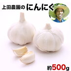 【ふるさと納税】『上田農園』のにんにく約500g 熊本県玉名郡玉東町『上田農園』にんにく《7月上旬-9月中旬頃出荷》