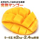 【ふるさと納税】とろけるように甘い秀品完熟マンゴー 5〜6玉...