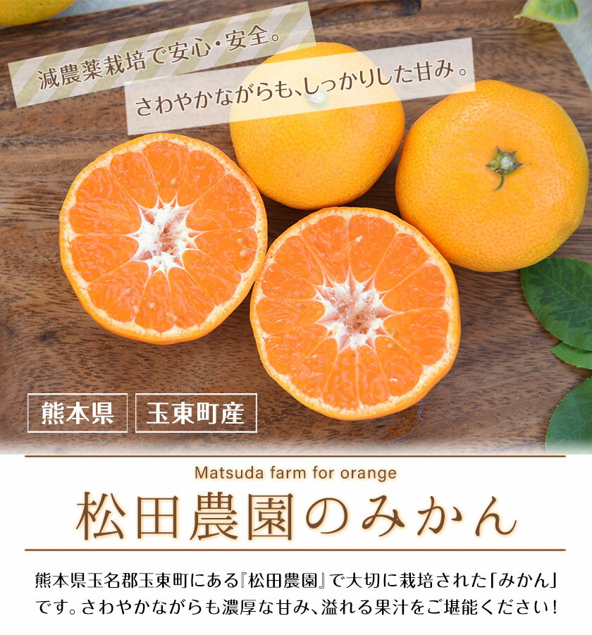 【ふるさと納税】【先行予約】ご家庭用『松田農園』のご家庭用みかん 約10kg(S-2Lサイズ)たっぷり 予約受付中 フルーツ 秋 旬 約10kg 熊本県玉名郡玉東町『松田農園』手間暇かけたこだわりのミカン！ちょこっと訳あり《11月上旬-12月下旬頃より順次出荷》