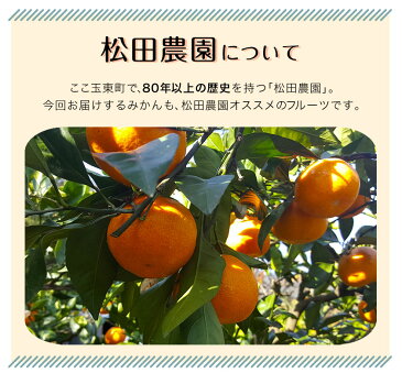 【ふるさと納税】【先行予約】ご家庭用『松田農園』のご家庭用みかん 約10kg(S-2Lサイズ)たっぷり 予約受付中 フルーツ 秋 旬 約10kg 熊本県玉名郡玉東町『松田農園』手間暇かけたこだわりのミカン!ちょこっと訳あり《11月上旬-12月下旬頃より順次出荷》