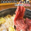 【ふるさと納税】熊本県産 あか牛 すき焼き/しゃぶしゃぶ用リ...