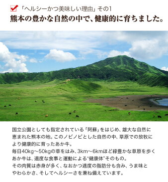 【ふるさと納税】熊本県産 あか牛 高級部位サーロインステーキ ボリューム満点の250g×2枚《14営業日以内に順次出荷(土日祝日除く)》