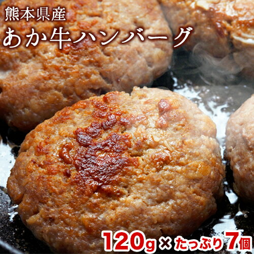 熊本の和牛 あか牛ハンバーグ 熊本県産あか牛を使用した贅沢ハンバーグたっぷり7個入り あか牛 赤牛 あかうし[1月中旬-4月末頃より出荷予定(土日祝除く)]送料無料 ふるさと納税 訳あり 定期便 でない