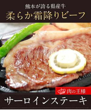 【ふるさと納税】熊本県産牛 高級部位サーロインステーキ ボリューム満点の250g×2枚《14営業日以内に順次出荷(土日祝日除く)》