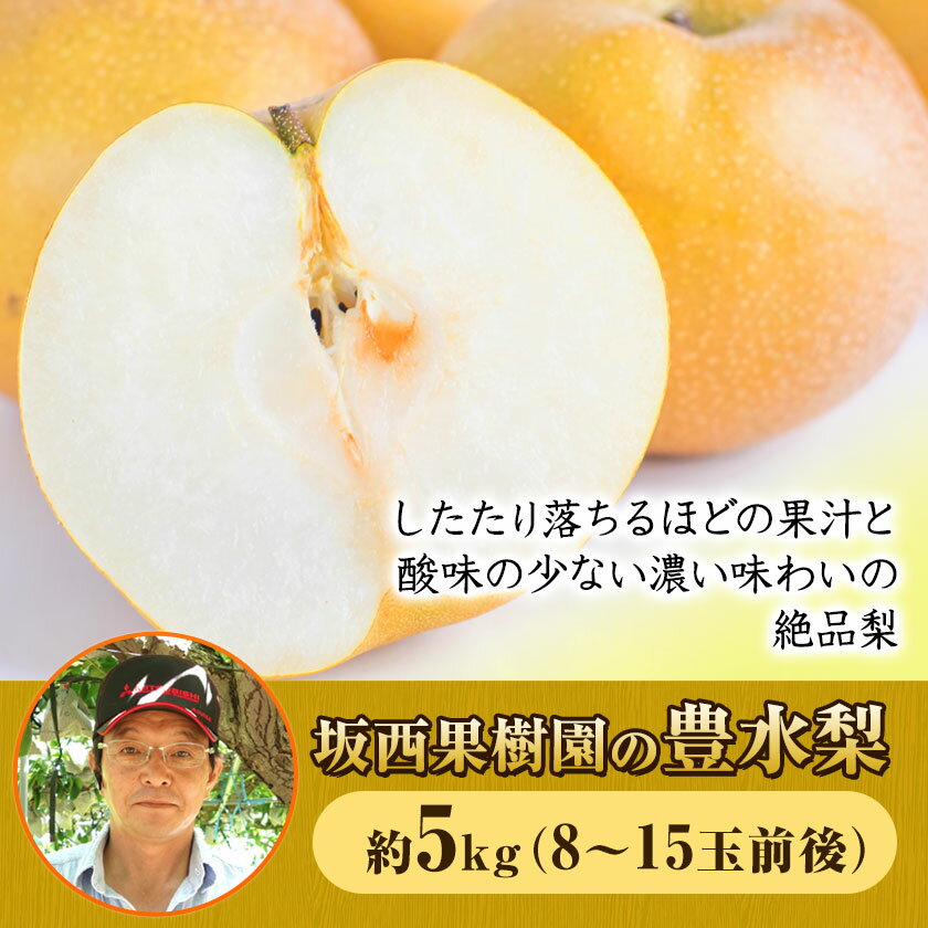 【ふるさと納税】『坂西果樹園』の豊水梨 期間限定 たっぷり約5kg(8-15玉前後)こだわり抜かれた栽培方法！予約受付中 熊本県玉名郡玉東町産 梨 なし 豊水 果物 スイーツ フルーツ デザート スムージー 熊本県玉東町《8月上旬-9月上旬頃出荷》