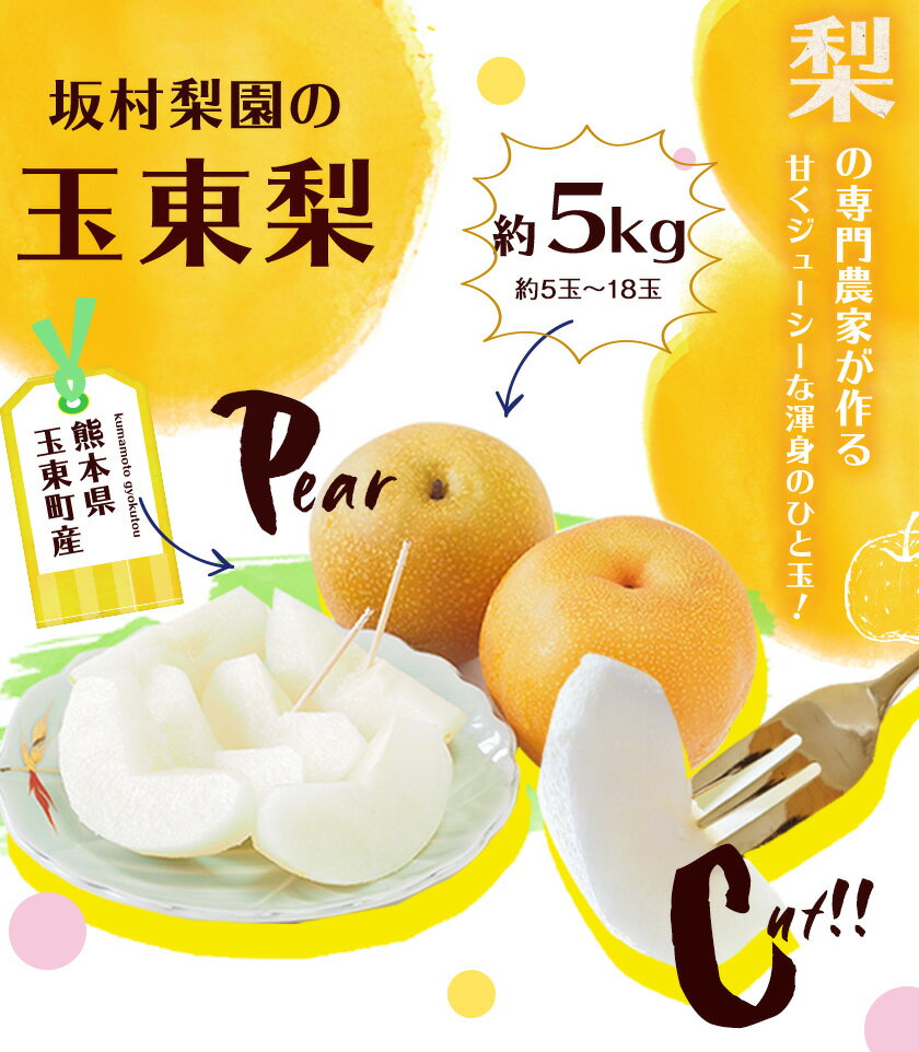 【ふるさと納税】【先行予約】坂村梨園 玉東梨 熊本県玉名郡玉東町 約5kg(5〜18玉前後) 梨 なし 果物 旬の梨 《8月中旬-10月下旬頃より順次出荷》