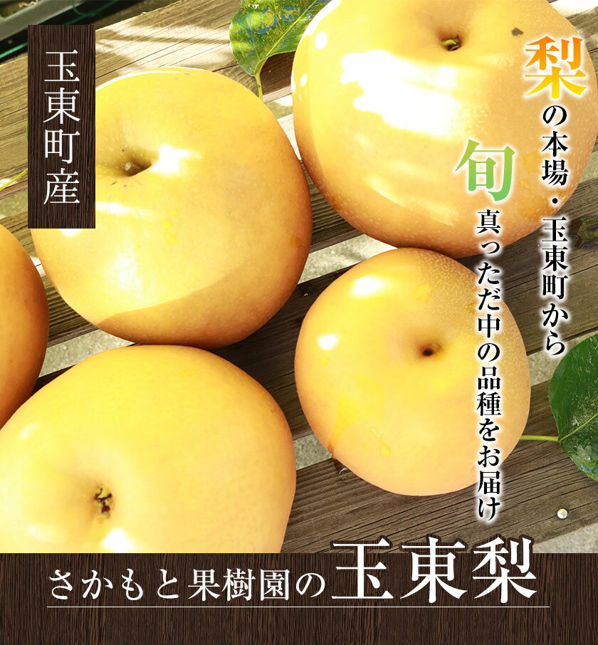 【ふるさと納税】梨 なし 旬の梨 さかもと果樹園の玉東梨 選べる 約3kg (3玉-10玉前後) 約5kg (6玉-18玉前後) 【日付指定・品種指定不可】 熊本県玉東町 フルーツ ナシ 果物 《旬の梨：8月中旬-9月末頃出荷/ 秋麗：8月中旬-8月下旬頃出荷/ 甘太：9月中旬-9月下旬頃出荷》
