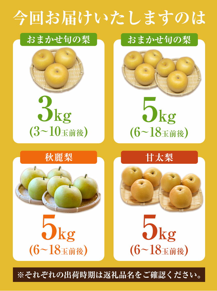 【ふるさと納税】梨 なし 旬の梨 さかもと果樹園の玉東梨 選べる 約3kg (3玉-10玉前後) 約5kg (6玉-18玉前後) 【日付指定・品種指定不可】 熊本県玉東町 フルーツ ナシ 果物 《旬の梨：8月中旬-9月末頃出荷/ 秋麗：8月中旬-8月下旬頃出荷/ 甘太：9月中旬-9月下旬頃出荷》