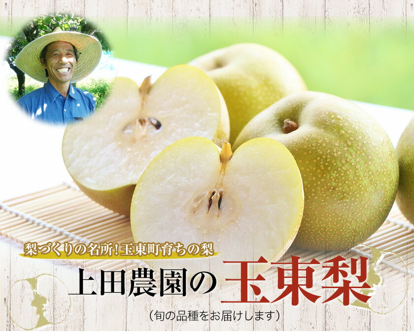 【ふるさと納税】梨 なし 旬の梨 フルーツ 『上田農園』の玉東梨 選べる 約3kg 約5kg 期間限定 《内容量をお選びください》 熊本県玉名郡玉東町『上田農園』なし 果物 スイーツ フルーツ デザート スムージー 熊本県玉東町《8月中旬-10月上旬頃出荷》