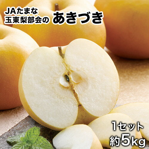 【ふるさと納税】【先行予約】『JAたまな玉東梨部会』のあきづき 期間限定 予約受付中 たっぷり約5kg 12-16玉前後 熊本県玉名郡玉東町産 肥沃な園地で育った 玉東町のなし 果物 スイーツ フルーツ デザート スムージー《9月上旬-9月末頃出荷》