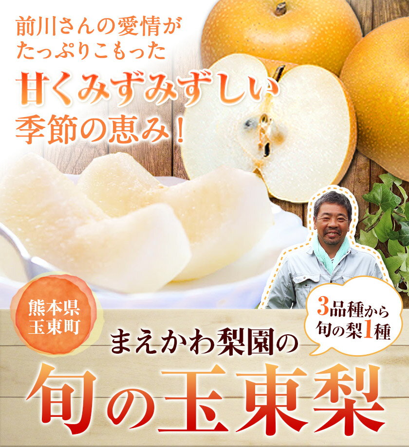 【ふるさと納税】まえかわ梨園の玉東梨 熊本県玉東町産約3kg（6-8玉前後）または 約5kg（6-16玉前後） 果物 スイーツ フルーツ 《8月中旬-9月下旬頃出荷》