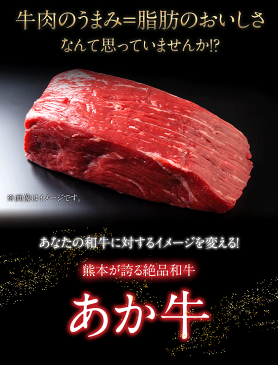 【ふるさと納税】熊本の和牛 熊本県産 あか牛 特選すき焼き用 300g 玉屋商店 熊本あか牛 赤牛 あかうし《30日以内に順次出荷(土日祝除く)》