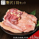 【ふるさと納税】天草大王 贅沢1羽セット 約1.5kg【幻の