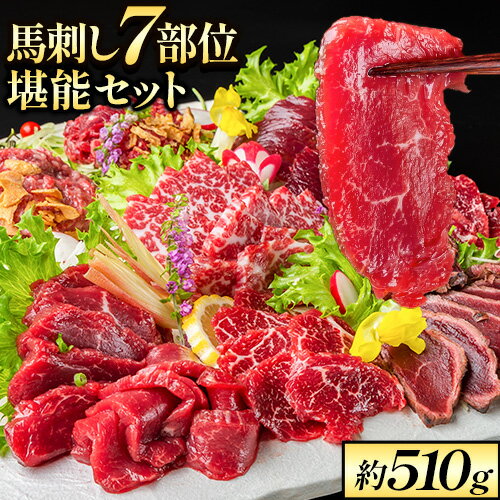 馬刺し7部位堪能セット 約510g タレ付き 馬肉 冷凍 《60日以内に出荷予定(土日祝を除く)》 新鮮 さばきたて 生食用 肉 熊本県玉東町 馬刺し 馬肉 希少部位 タタキ 赤身 霜降り ロース ヒレ ユッケ ネギトロ 桜うまトロ