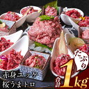 赤身ユッケ桜うまトロセット 計1kg 1000g ユッケ 桜うまトロ(ネギトロ) 馬肉 冷凍 《60日以内に出荷予定(土日祝除く)》 新鮮 さばきたて 真空パック 肉 熊本県玉東町 馬刺し おつまみ