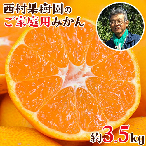 【ふるさと納税】先行予約 『西村果樹園』のみかん★約3.5kg(S-2Sサイズ) 【日付指定不可】 予約受付中 フルーツ 旬★熊本県玉名郡玉東町 みかん 減農薬・有機肥料で育てた自慢のおいしさ！《10月上旬-1月下旬頃出荷》のサムネイル