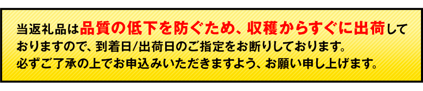 【ふるさと納税】秋 旬 梨 期間限定 【日付指定不可】梨 『松田農園』の くまもと 梨 たっぷり 約2kg 5-7玉前後 約5kg 8-18玉前後 熊本県玉名郡玉東町『松田農園』なし 果物 スイーツ フルーツ デザート スムージー 《7月下旬-9月末頃出荷》 先行予約 SDG`s