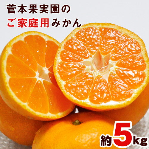 【ふるさと納税】先行予約 ご家庭用『菅本果実園』のご家庭用みかん★約5kg(2S-2Lサイズ) 【日付指定不可】 フルーツ 秋 旬★熊本県玉名郡玉東町 全国にファン多数！エコファーマー菅本さんのみかん♪『菅本果実園』ちょこっと訳あり《11月下旬-12月末頃より順次出荷》