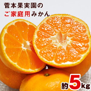 【ふるさと納税】先行予約 ご家庭用『菅本果実園』のご家庭用みかん★約5kg(2S-2Lサイズ) 【日付指定不可】 フルーツ 秋 旬★熊本県玉名郡玉東町 全国にファン多数！エコファーマー菅本さんのみかん♪『菅本果実園』ちょこっと訳あり《11月下旬-12月末頃より順次出荷》