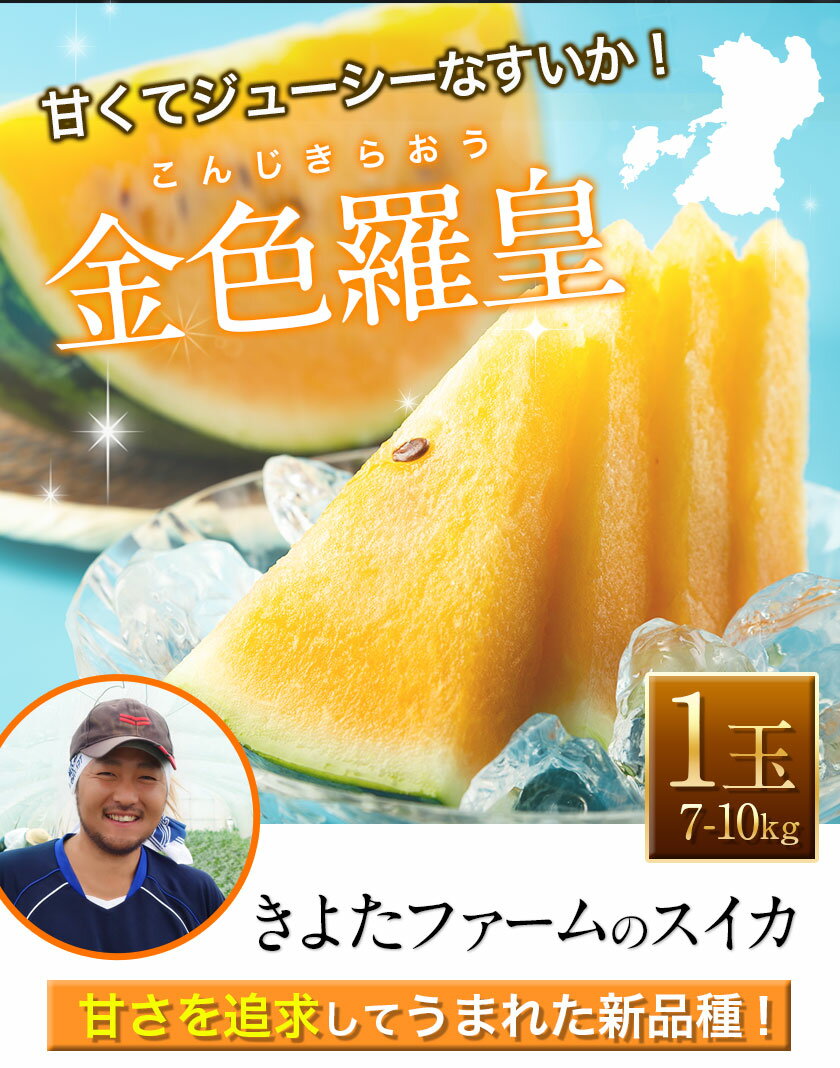 【ふるさと納税】スイカ すいか 西瓜 フルーツ 果物 くだもの 旬 熊本 熊本県産 高級 金色羅皇 国産 ジューシー 夏 黄色 ギフト 贈答 お取り寄せ きよたファーム 玉東町 《5月末-7月中旬頃出荷》《日付指定不可》