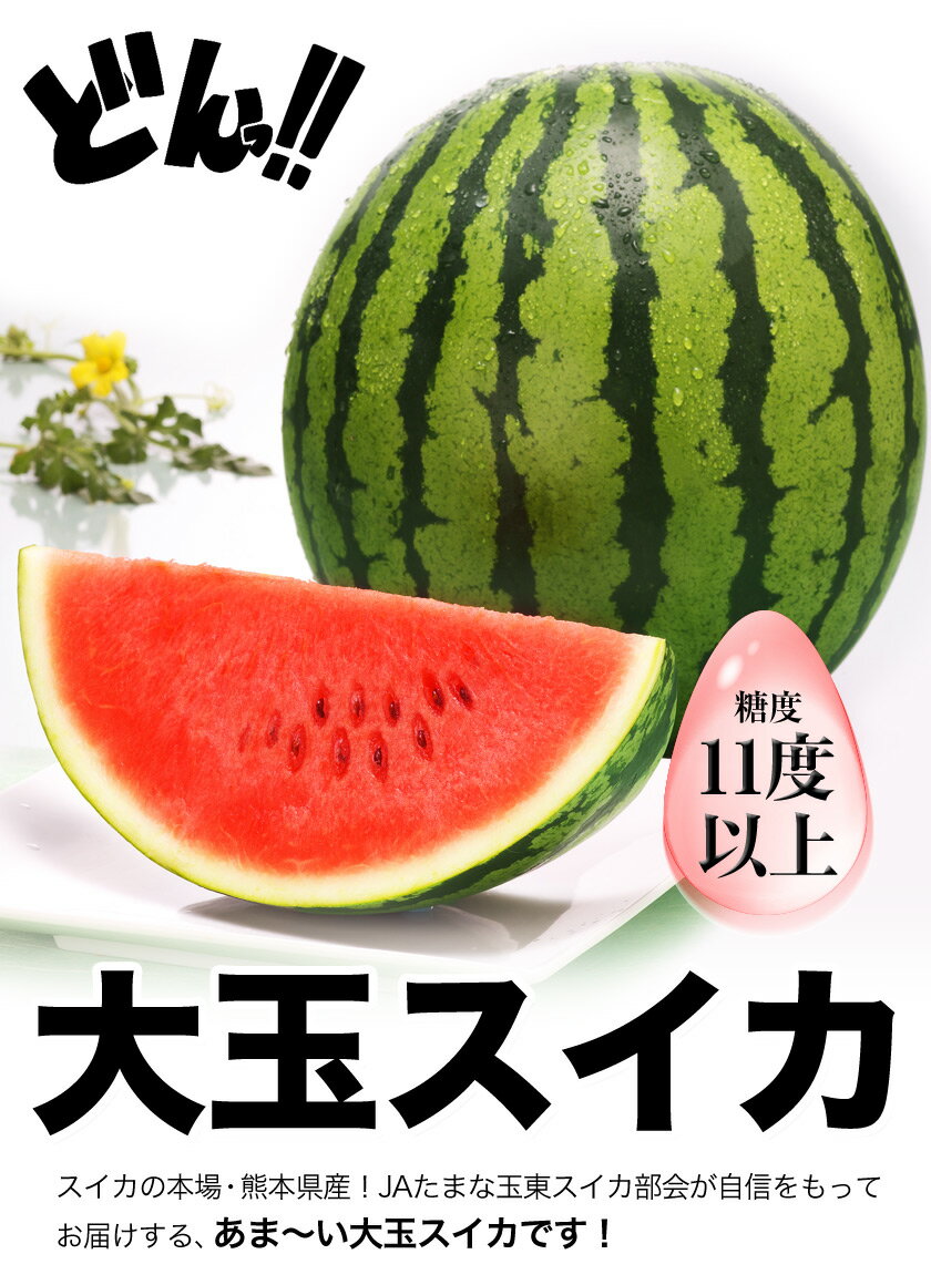 【ふるさと納税】スイカの本場、熊本県玉東町産 大玉スイカ1玉 2Lサイズ前後(約7～8kg前後) 玉東すいか部会《5月上旬-6月上旬頃出荷》