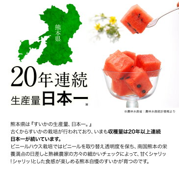 【ふるさと納税】スイカの本場★熊本県玉東町産 大玉スイカ1玉 2Lサイズ前後(約7〜8kg前後) 玉東すいか部会《5月末-6月中旬頃より順次出荷》