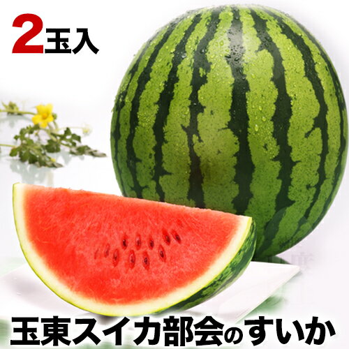 59位! 口コミ数「1件」評価「5」スイカの本場、熊本県玉東町産 大玉スイカ2玉セット 2Lサイズ前後(1玉約7～8kg前後) 玉東すいか部会《5月上旬-6月上旬頃出荷》