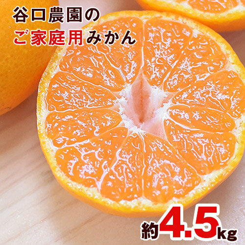 【ふるさと納税】ご家庭用『谷口農園』のみかん★約4.5kg(2S-2Lサイズ) 予約受付中 フルーツ 旬★熊本県玉名郡玉東町 ミネラルたっぷり竹パウダーの土で育つ甘〜いみかん♪ちょこっと訳あり《10月上旬-10月下旬頃より順次出荷》