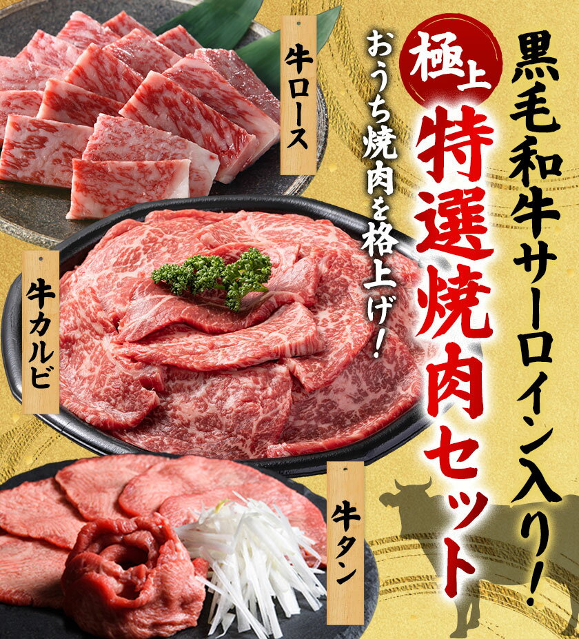 【ふるさと納税】 黒毛和牛 極上特選焼肉セット 750g 高椋畜産 《30日以内に出荷予定(土日祝除く)》 熊本県 南関町 牛肉 和牛 国産牛 黒毛和牛 牛ロース 牛カルビ 牛タン お肉 焼肉 BBQ 冷凍 送料無料