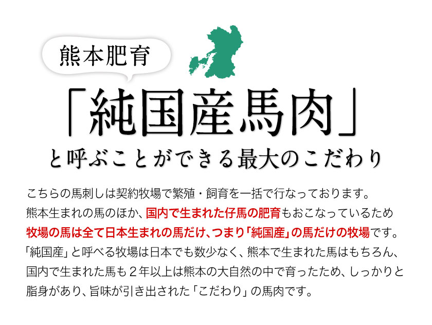 【ふるさと納税】手作りハン馬ーグ 100g×10個 馬肉100%配合！【熊本肥育】ハンバーグ たっぷり 冷凍 お中元 肉 お手軽 お取り寄せ《30日以内に出荷予定(土日祝除く)》