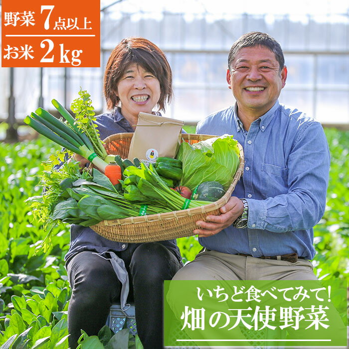 【ふるさと納税】《単品 定期便 選べる》いちど食べてみて「畑の天使」野菜 安全安心 おまかせ 詰め合...