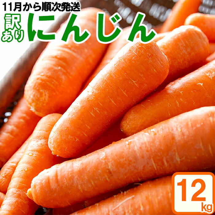 【ふるさと納税】《期間限定》農薬・化学肥料不使用 南関町産 にんじん 12kg 訳あり 自然のまま 野菜 季節 送料無料のサムネイル