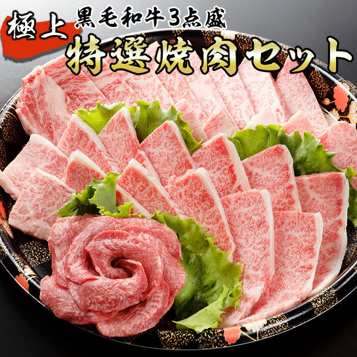 【ふるさと納税】 黒毛和牛 極上特選焼肉セット 750g 牛肉 和牛 国産牛 お肉 焼肉 BBQ 九州 熊本 冷凍 送料無料