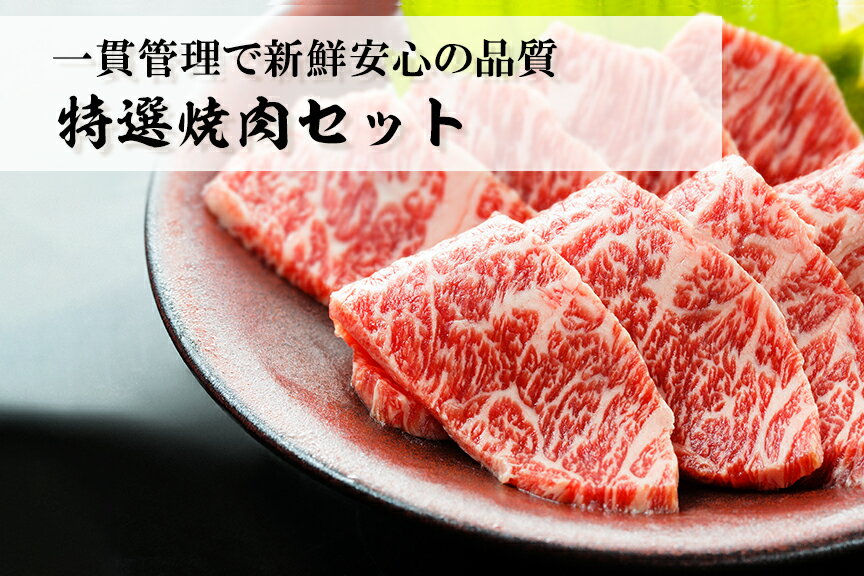 【ふるさと納税】 黒毛和牛 極上特選焼肉セット 750g 牛肉 和牛 国産牛 お肉 焼肉 BBQ 九州 熊本 冷凍 送料無料