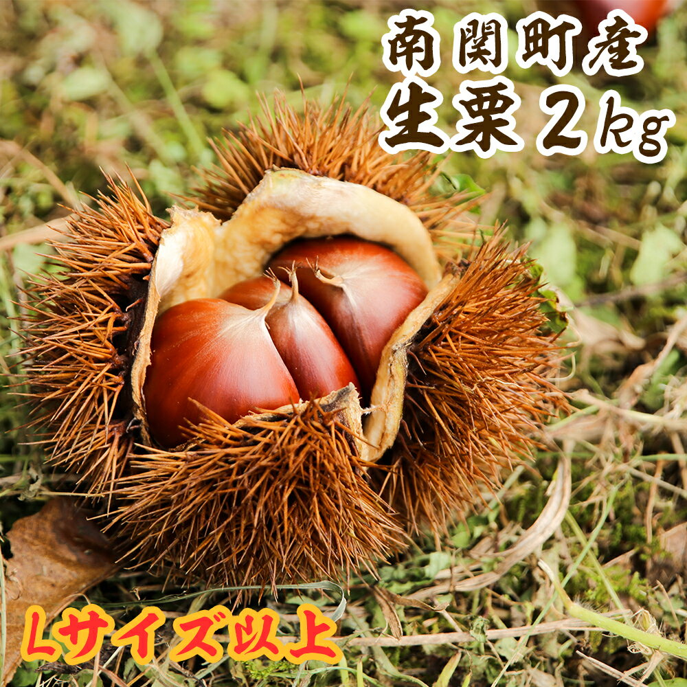 【ふるさと納税】2023年産 栗の名産地 南関町産の栗2kg Lサイズ以上を中心にお届け！農家厳選 冷蔵 送料無料のサムネイル