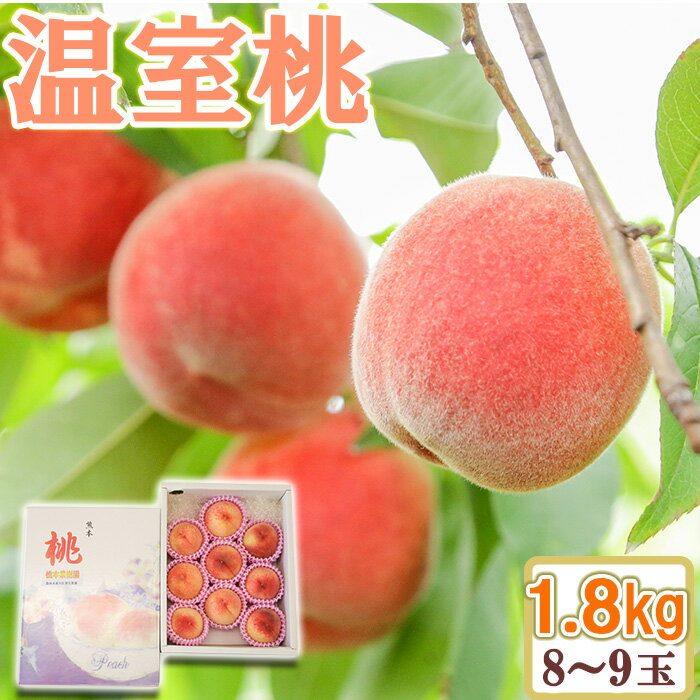 温室桃 1.8Kg 加温 高糖度 ハウス 桃 ジューシー はなよめ 安心 安全 フルーツ 送料無料