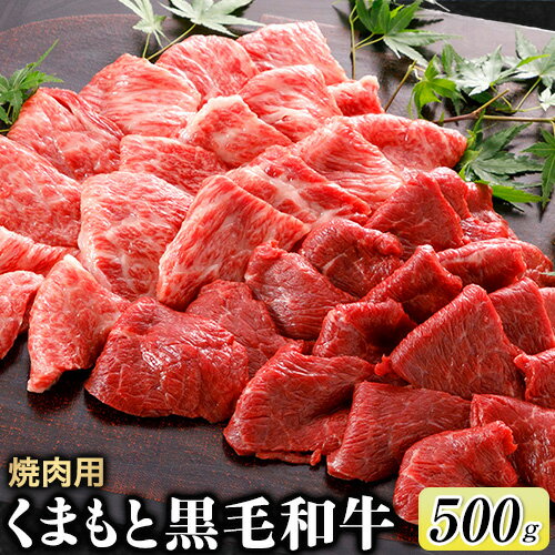 【ふるさと納税】牛肉 くまもと黒毛和牛 焼肉用 500g 肉 黒毛和牛 焼肉 長洲501《30日以内に出荷予定(土日祝除く)》 1