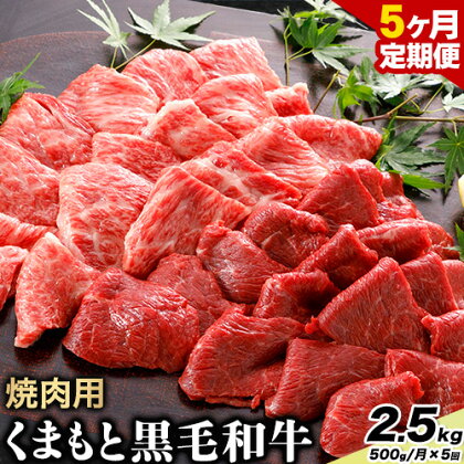 【5ヶ月定期便】牛肉 くまもと黒毛和牛 焼肉用 500g 計2.5kg 長洲501《お申込み月翌月以降の出荷月から出荷開始》定期便 計5回お届け