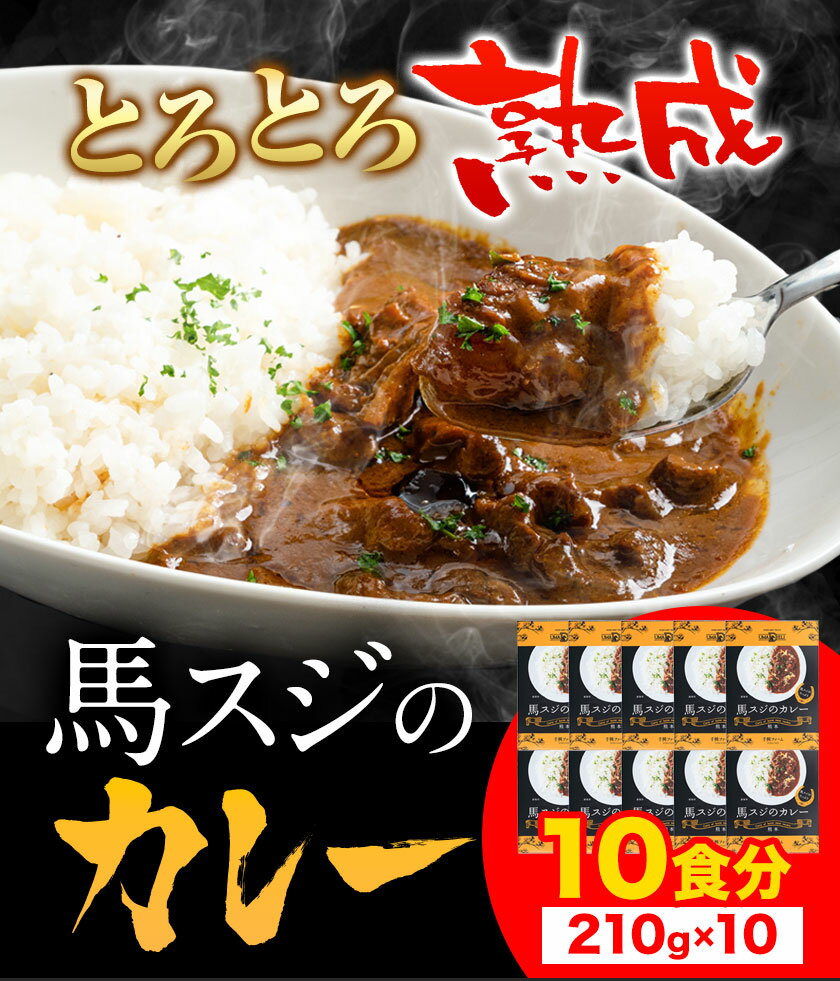 【ふるさと納税】たっぷり！馬スジカレー 10食セット《60日以内に出荷予定(土日祝除く)》株式会社千興ファーム 馬スジ カレー お肉 馬すじ カレーライス 馬肉 贈答 ギフト グルメ お取り寄せ 熊本県 長洲町 送料無料 個包装 大人気 簡単調理