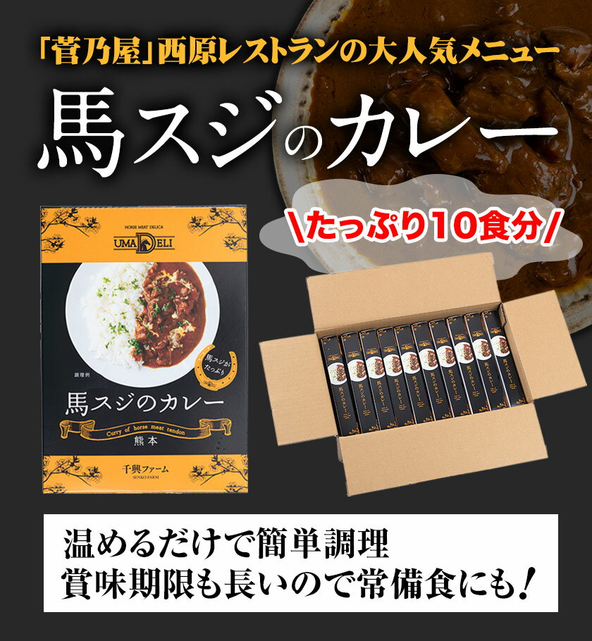 【ふるさと納税】たっぷり！馬スジカレー 10食セット《60日以内に出荷予定(土日祝除く)》株式会社千興ファーム 馬スジ カレー お肉 馬すじ カレーライス 馬肉 贈答 ギフト グルメ お取り寄せ 熊本県 長洲町 送料無料 個包装 大人気 簡単調理