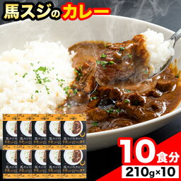 【ふるさと納税】たっぷり！馬スジカレー 10食セット《60日以内に出荷予定(土日祝除く)》株式会社千興ファーム 馬スジ カレー お肉 馬すじ カレーライス 馬肉 贈答 ギフト グルメ お取り寄せ 熊本県 長洲町 送料無料 個包装 大人気 簡単調理