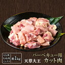 【ふるさと納税】天草大王 バーベキュー用カット肉 1kg 熊