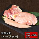 【ふるさと納税】天草大王　ハーフセット 約750g【幻の地鶏