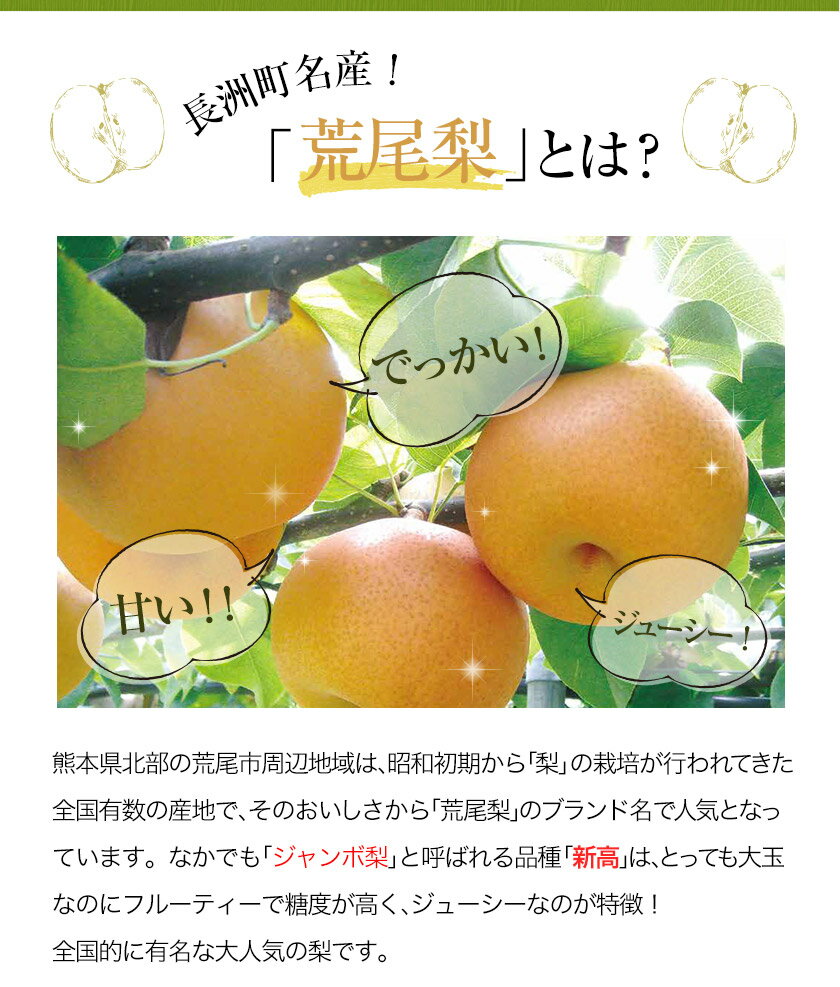 【ふるさと納税】梨 熊本県産 梨 ストレートジュース ＆ 梨ジャムセット　梨 ジュース ジャム フルーツ 果物 飲料 ギフト 贈答 あなた本舗《30日以内に出荷予定(土日祝除く)》